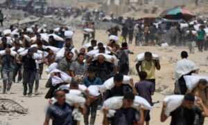 الأغذية العالمي: وقف النار هو السبيل الوحيد لوصول المساعدات لغزة الأغذية العالمي: وقف النار هو السبيل الوحيد لوصول المساعدات لغزة